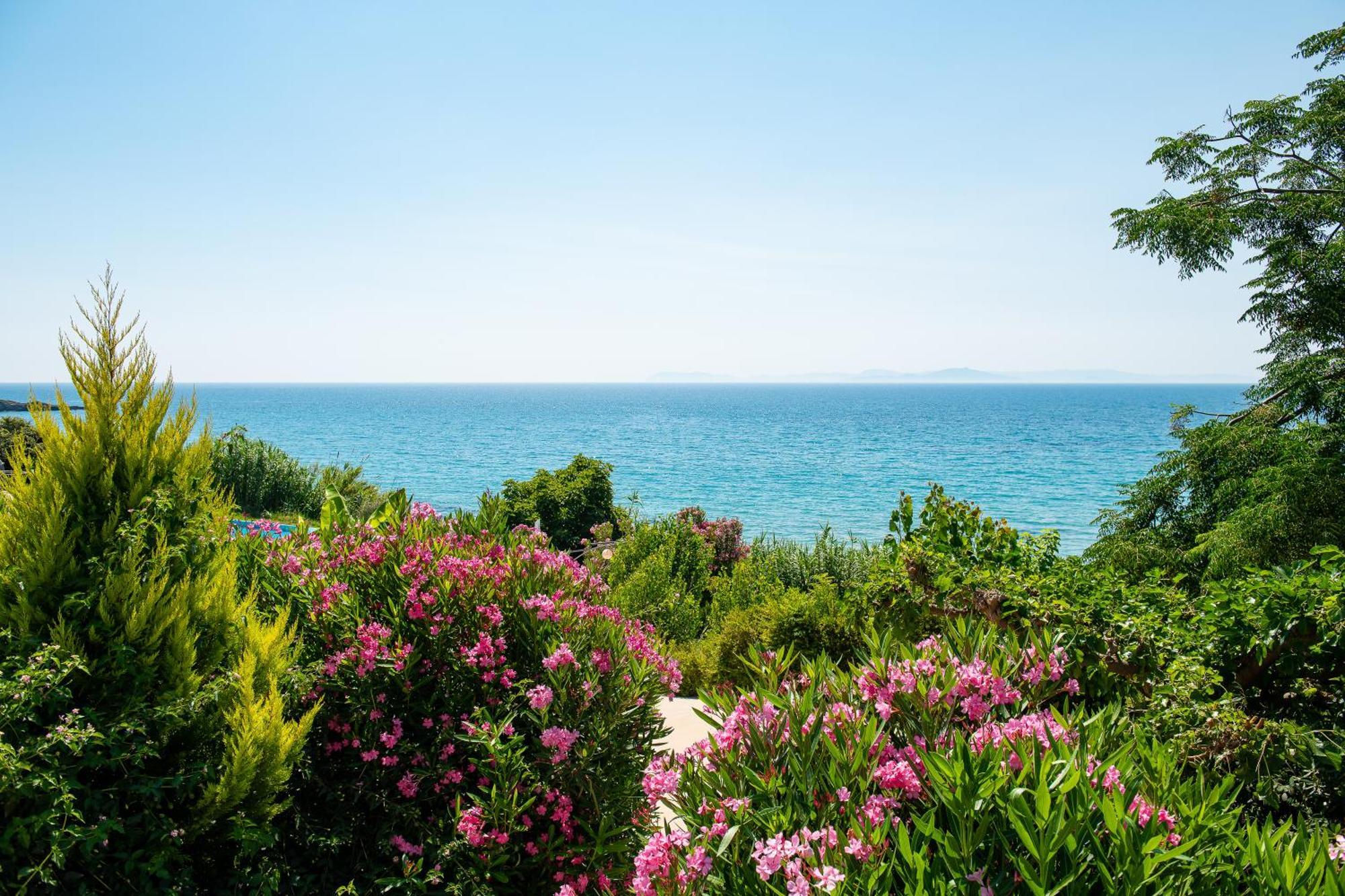Mare Dei Suites Hotel Ionian Resort Skafidia Eksteriør bilde
